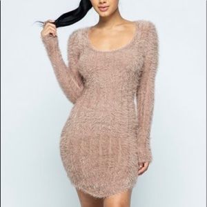 NWT ROSE BLUSH AND PLUSH MINI DRESS